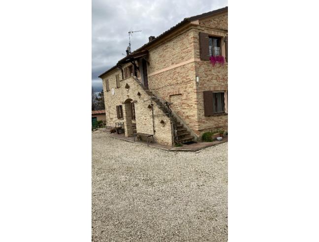 Anteprima foto 2 - Offerte Vacanze Agriturismo a Ostra (Ancona)