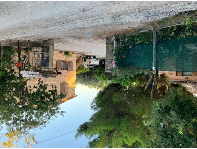 Anteprima foto 6 - Offerte Vacanze Agriturismo a Ostra (Ancona)