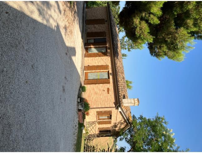 Anteprima foto 7 - Offerte Vacanze Agriturismo a Ostra (Ancona)