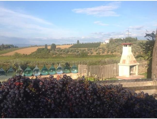 Anteprima foto 5 - Offerte Vacanze Agriturismo a San Casciano in Val di Pesa (Firenze)