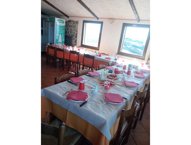 Anteprima foto 6 - Offerte Vacanze Agriturismo a Sassari - Palmadula