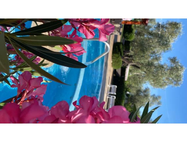 Anteprima foto 2 - Offerte Vacanze Agriturismo a Vieste (Foggia)