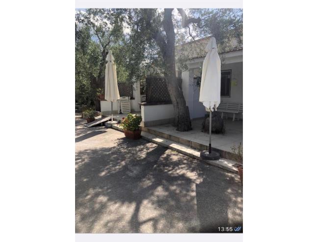 Anteprima foto 2 - Offerte Vacanze Agriturismo a Vieste (Foggia)