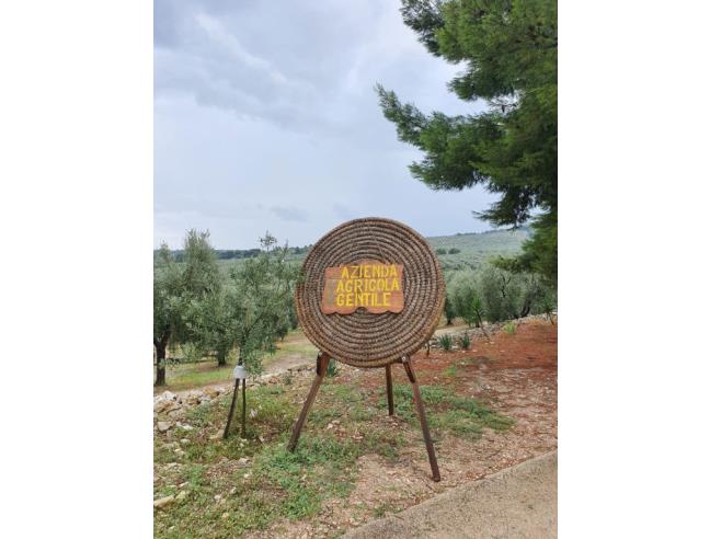 Anteprima foto 3 - Offerte Vacanze Agriturismo a Vieste (Foggia)