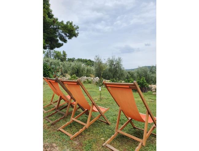 Anteprima foto 6 - Offerte Vacanze Agriturismo a Vieste (Foggia)