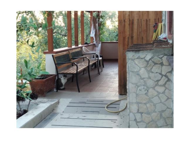 Anteprima foto 6 - Offerte Vacanze Agriturismo a Vieste (Foggia)