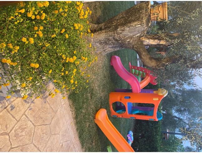 Anteprima foto 7 - Offerte Vacanze Agriturismo a Vieste (Foggia)