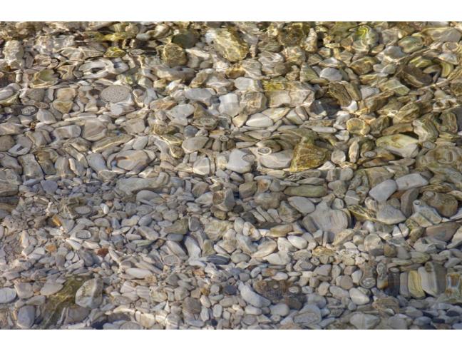 Anteprima foto 5 - Offerte Vacanze Albergo/Hotel a Bari - Torre a Mare