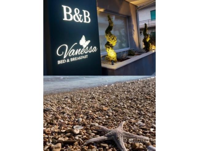 Anteprima foto 6 - Offerte Vacanze Bed & Breakfast a Alba Adriatica (Teramo)