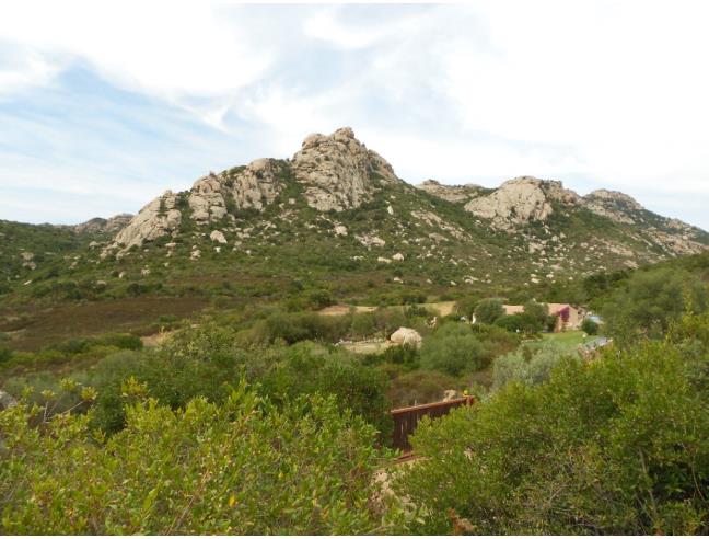 Anteprima foto 2 - Offerte Vacanze Bed & Breakfast a Arzachena (Sassari)