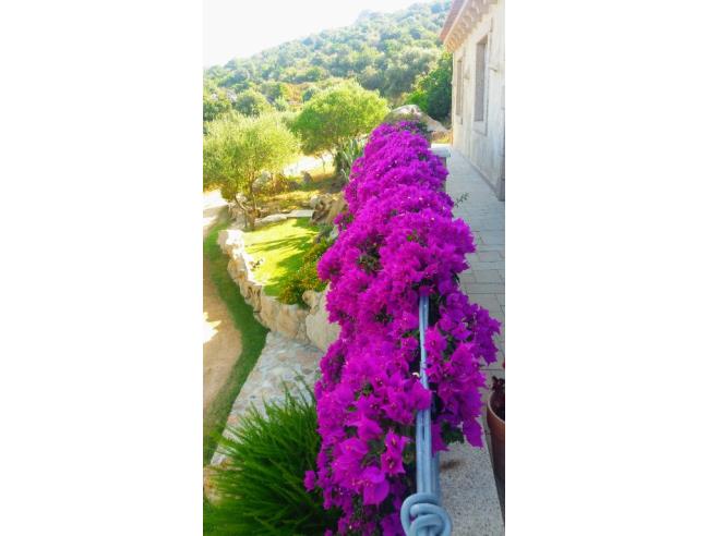 Anteprima foto 3 - Offerte Vacanze Bed & Breakfast a Arzachena (Sassari)