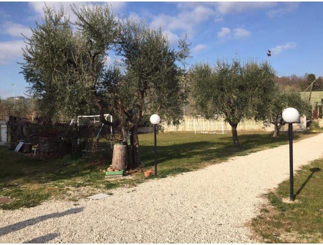 Anteprima foto 3 - Offerte Vacanze Bed & Breakfast a Ascoli Piceno (Ascoli Piceno)