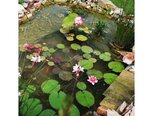 Anteprima foto 1 - Offerte Vacanze Bed & Breakfast a Bettona - Passaggio