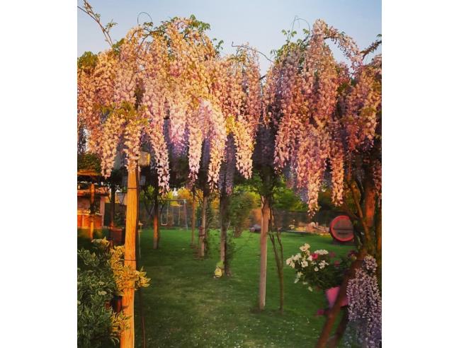 Anteprima foto 3 - Offerte Vacanze Bed & Breakfast a Bettona - Passaggio