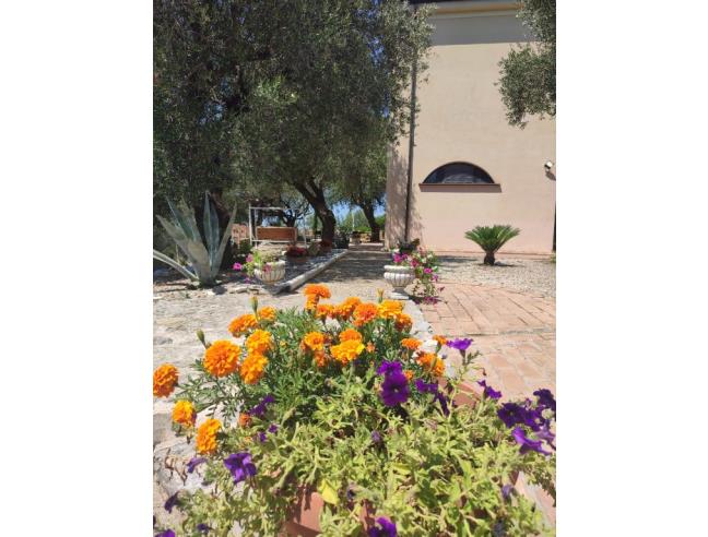 Anteprima foto 2 - Offerte Vacanze Bed & Breakfast a Camerota - Lentiscosa