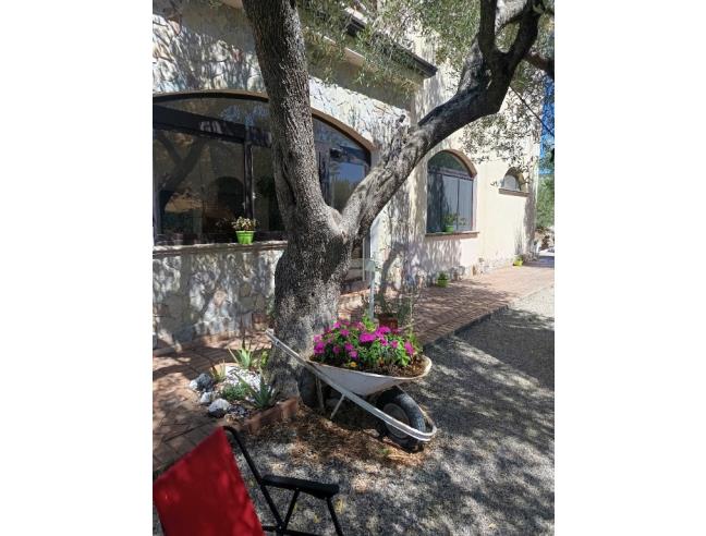 Anteprima foto 7 - Offerte Vacanze Bed & Breakfast a Camerota - Lentiscosa