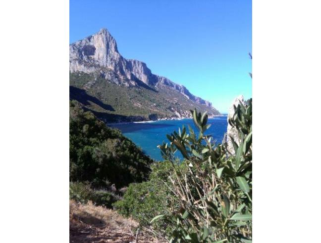 Anteprima foto 5 - Offerte Vacanze Bed & Breakfast a Cardedu (Nuoro)