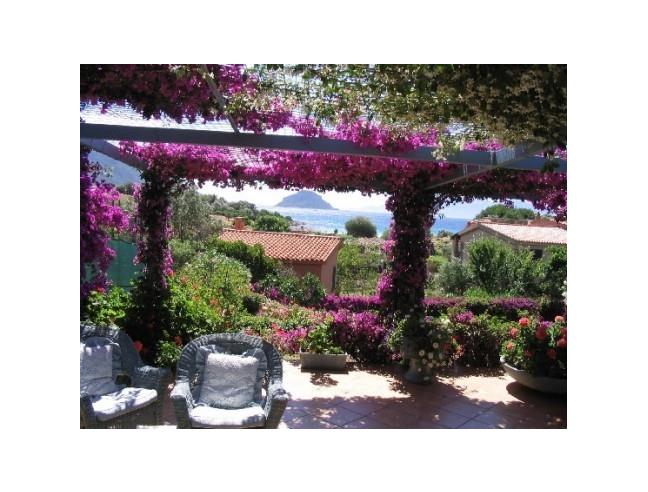 Anteprima foto 2 - Offerte Vacanze Bed & Breakfast a Golfo Aranci (Sassari)