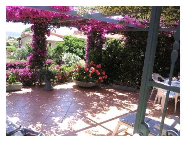 Anteprima foto 4 - Offerte Vacanze Bed & Breakfast a Golfo Aranci (Sassari)