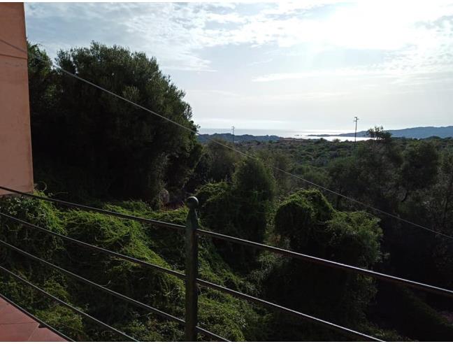 Anteprima foto 8 - Offerte Vacanze Bed & Breakfast a La Maddalena (Sassari)