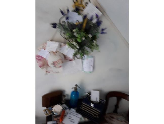 Anteprima foto 5 - Offerte Vacanze Bed & Breakfast a La Spezia - Pitelli