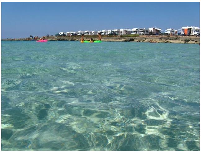 Anteprima foto 5 - Offerte Vacanze Bed & Breakfast a Lizzano - Masseria Conche