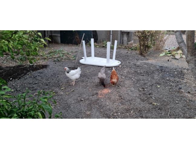 Anteprima foto 8 - Offerte Vacanze Bed & Breakfast a Montebello Ionico (Reggio Calabria)