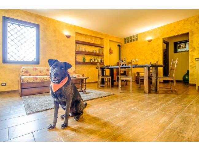 Anteprima foto 2 - Offerte Vacanze Bed & Breakfast a Nicolosi (Catania)