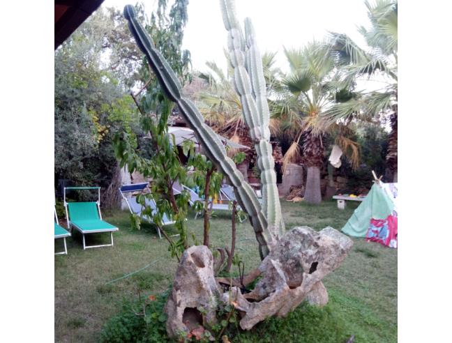 Anteprima foto 4 - Offerte Vacanze Bed & Breakfast a Olbia - Pittulongu