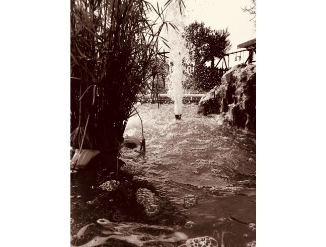 Anteprima foto 2 - Offerte Vacanze Bed & Breakfast a Partinico (Palermo)