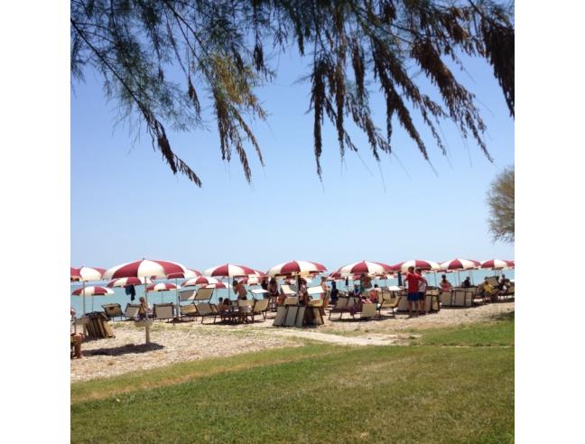 Anteprima foto 6 - Offerte Vacanze Bed & Breakfast a Pineto - Scerne