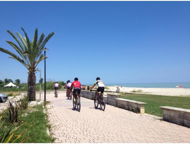 Anteprima foto 7 - Offerte Vacanze Bed & Breakfast a Pineto - Scerne