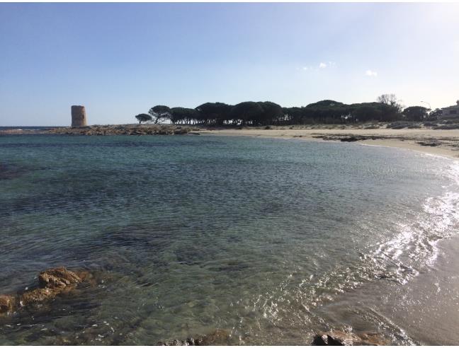 Anteprima foto 3 - Offerte Vacanze Bed & Breakfast a Posada (Nuoro)