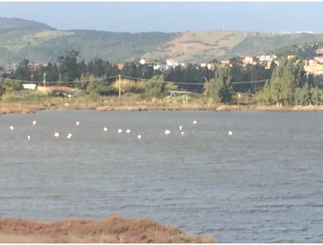 Anteprima foto 5 - Offerte Vacanze Bed & Breakfast a Posada (Nuoro)