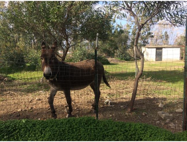 Anteprima foto 6 - Offerte Vacanze Bed & Breakfast a Posada (Nuoro)