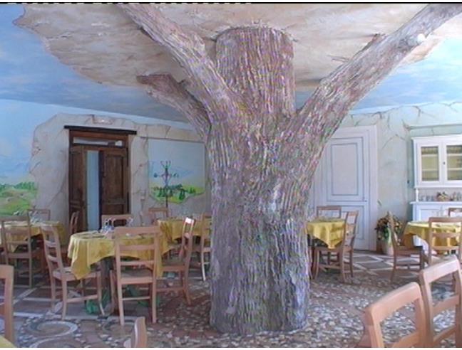 Anteprima foto 2 - Offerte Vacanze Bed & Breakfast a San Massimo - Contrada Canonica