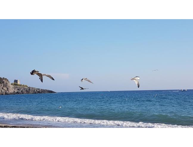 Anteprima foto 4 - Offerte Vacanze Residence a Camerota - Lentiscosa