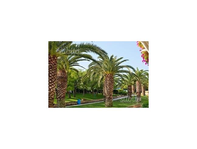 Anteprima foto 6 - Offerte Vacanze Residence a Monopoli (Bari)