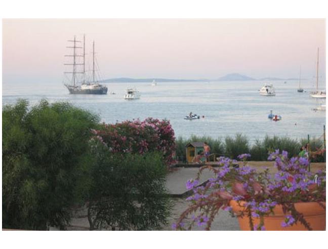Anteprima foto 8 - Offerte Vacanze Residence a Olbia - Porto Rotondo
