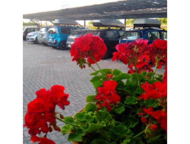 Anteprima foto 6 - Offerte Vacanze Residence a Ortona - Riccio