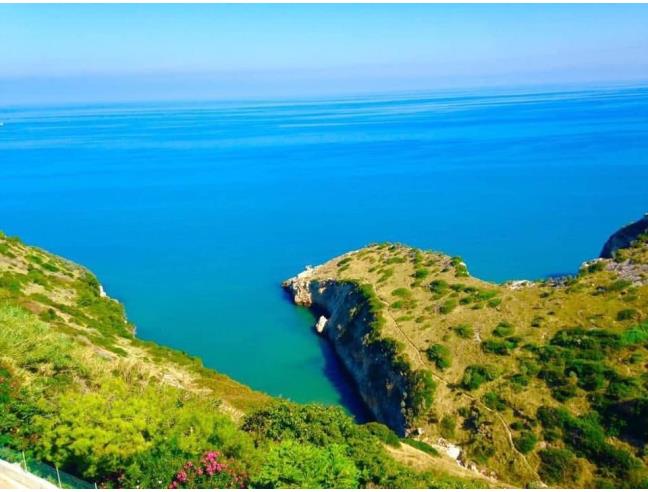 Anteprima foto 4 - Offerte Vacanze Residence a Peschici (Foggia)