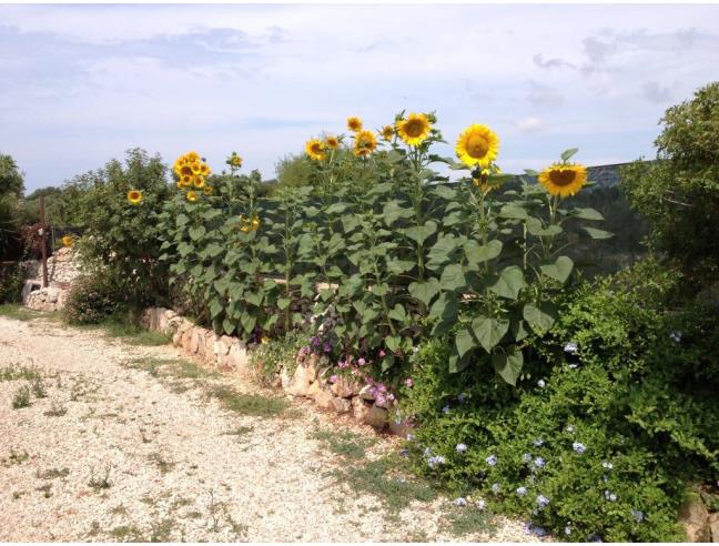 Anteprima foto 2 - Offerte Vacanze Residence a Salve (Lecce)