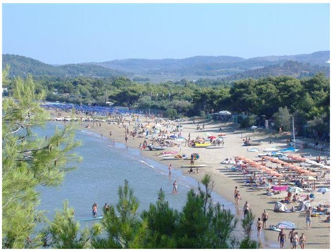 Anteprima foto 7 - Offerte Vacanze Residence a Vieste (Foggia)