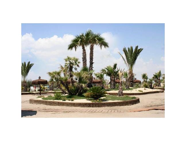 Anteprima foto 4 - Offerte Vacanze Villaggio turistico a Manfredonia - Ippocampo