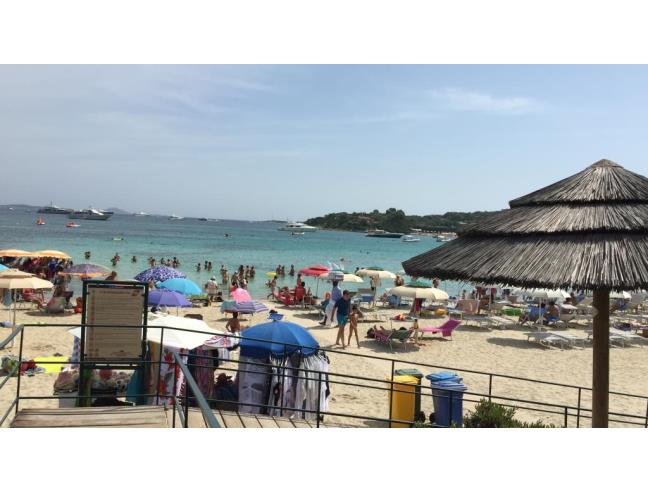 Anteprima foto 2 - Offerte Vacanze Villaggio turistico a Olbia - Porto Rotondo