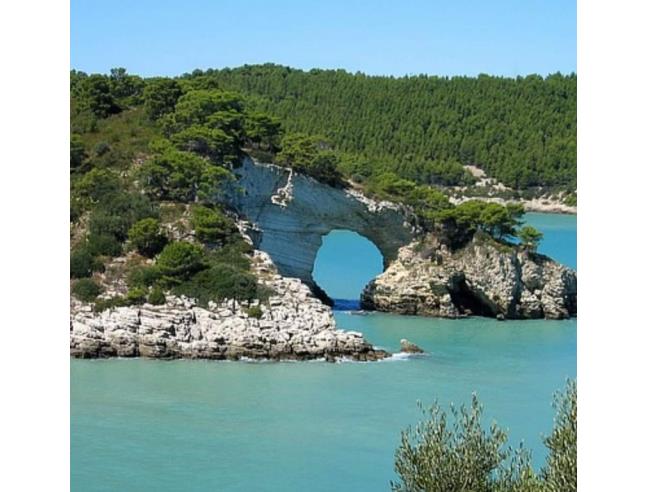 Anteprima foto 8 - Offerte Vacanze Villaggio turistico a Peschici (Foggia)