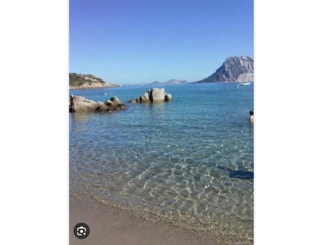 Anteprima foto 4 - Offerte Vacanze Villaggio turistico a San Teodoro - Villaggio Est Capo Coda Cavallo