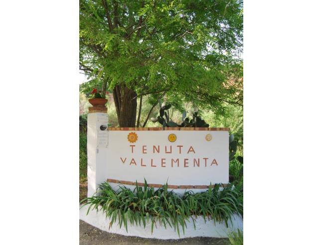 Anteprima foto 3 - Offerte Vacanze Villaggio turistico a Santa Maria del Cedro - Marcellina