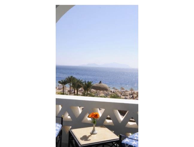 Anteprima foto 4 - Offerte Vacanze Villaggio turistico a Scalea (Cosenza)