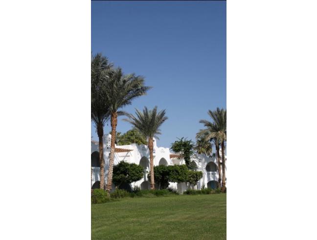 Anteprima foto 6 - Offerte Vacanze Villaggio turistico a Scalea (Cosenza)